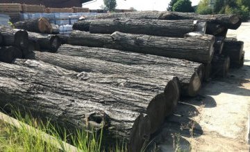 OGŁOSZENIE O PRZETARGU PUBLICZNYM PISEMNYM NA SPRZEDAŻ DREWNA