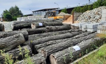 Sprzedaż drewna opałowego