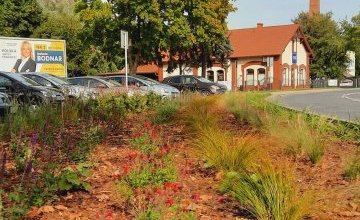 Rabata kwiatowa w pasie drogowym ulicy Wałowej.